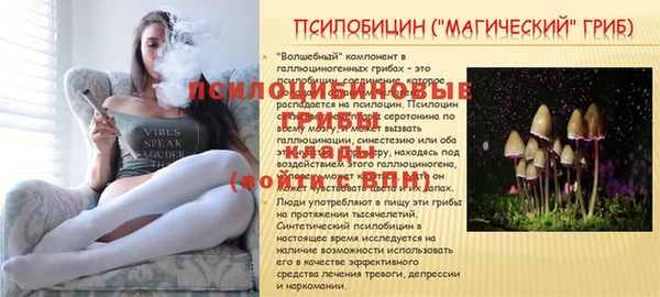 дмт Богородск