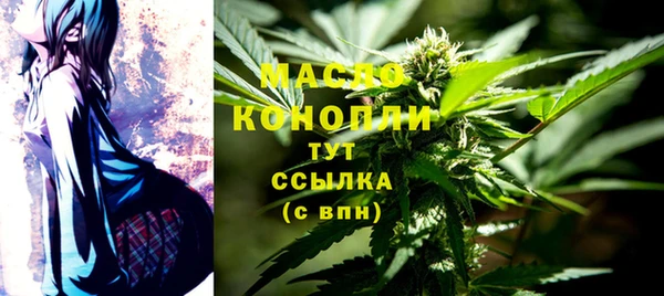 дмт Богородск