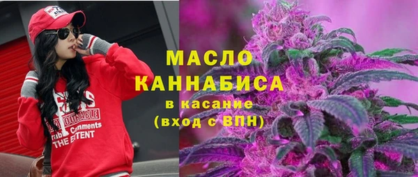 твердый Снежногорск