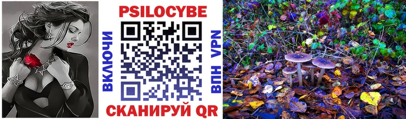 Псилоцибиновые грибы Cubensis  купить   Суворов 